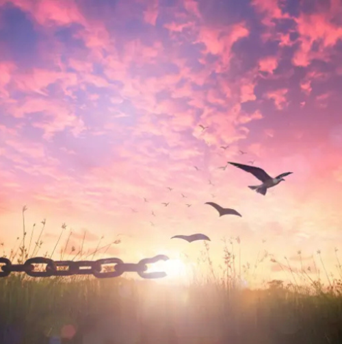 wmremove-transformed